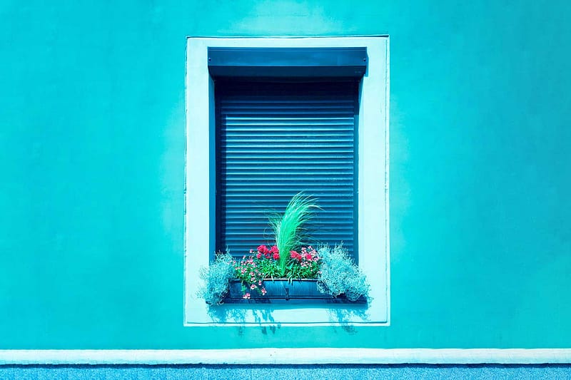 cyan window shutter